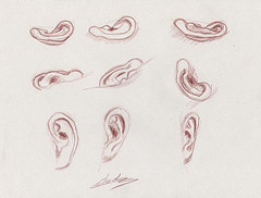 9 dessins d'oreille de femme au crayon