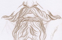 Etude de moustaches dessinée au crayon brun