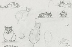 8 croquis de chat dessiné au crayon