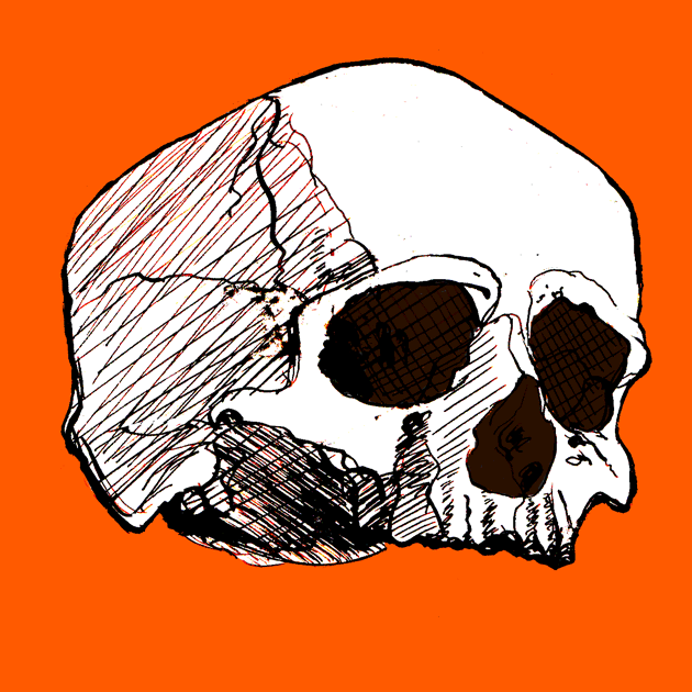 Illustration encre crâne homme