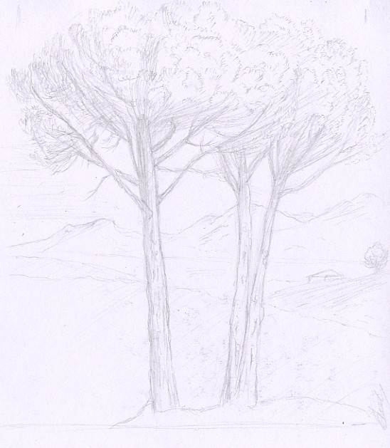 Etude de pins, dessin d'après Le Lorrain par Fabien Lesbordes