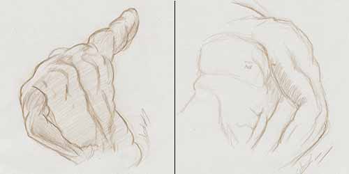 Etude anatomie des muscles corps humain Etude anatomie des muscles corps humain