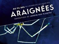 Affiche de l'exposition au fil des araignées à Paris