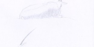 Deux oryx couchés dessiné au crayon à papier
