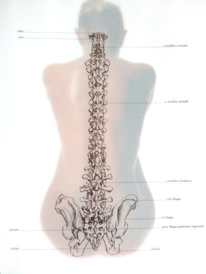 Avis livre Anatomie artistique illustration colone vertebrale