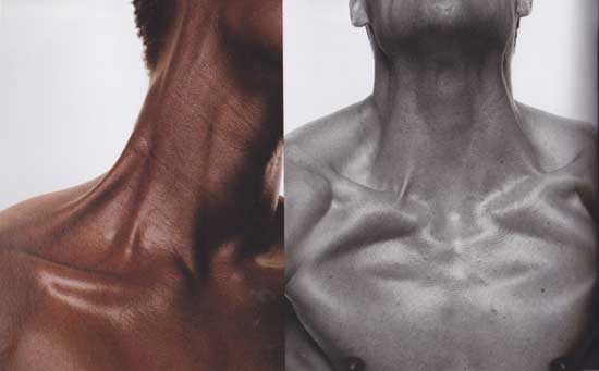 Photos muscles du cou