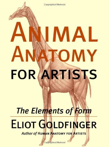 Livre dessin anatomie animaux Animal Anatomy for Artists - The Elements of Form Eliot Goldfinger