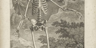 Livre anatomie Tabulae sceleti et musculorum corporis humanis