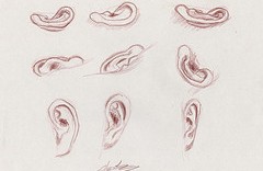 9 dessins d'oreille de femme au crayon
