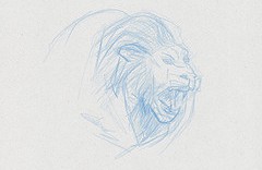 dessin animalier de lion dessiné au crayon