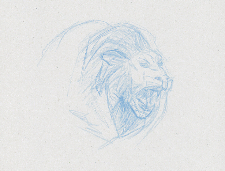 Dessin apprendre dessiner lion