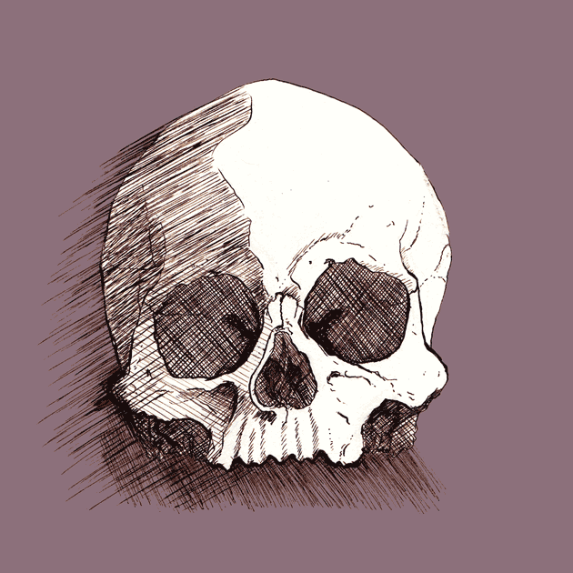 Crâne humain illustration couleur