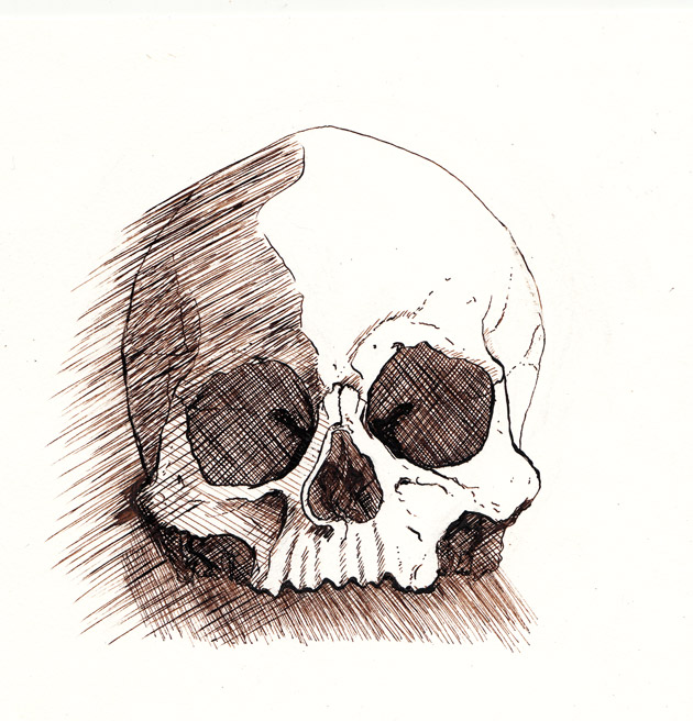 1 illustration crâne homme moulage resine