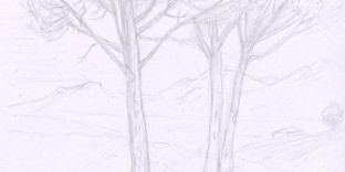 Etude de pins, dessin d'après Le Lorrain par Fabien Lesbordes