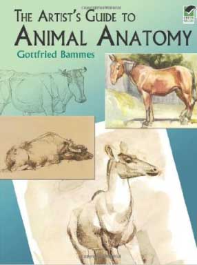 Artist guide animal anatomy Gottfried Bammes