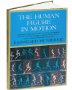 Couverture du livre d'Eadweard Muybridge Human figure in motion