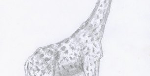 Croquis animalier de girafe tachetée esquissé au crayon