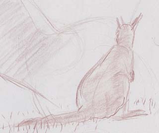 Croquis rapide petit kangourou