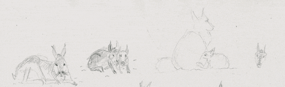bébés animaux dessinés au crayon-à-papier